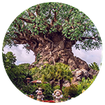 Animal Kingdom